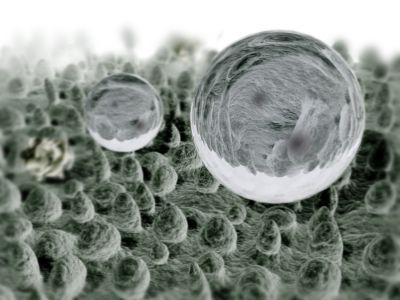Image générée par ordinateur de l'effet lotus avec deux gouttes d'eau reposant sur les micro-structures