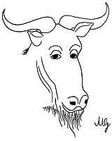 Un GNU philosophe